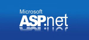 Asp.net ile e-Ticaret sitesi nedir?