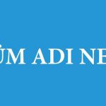 Bölüm Adı Nedir?