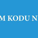 Bölüm Kodu Nedir?
