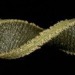 Bilim insanları giyilebilir sensör teknolojisi geliştirdi