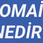 Domain nedir?