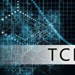 TCP/IP Nedir?