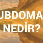 Alt Domain Nedir?