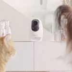 Pawbo Takip ve Akıllı Mama Dağıtım Cihazları Hayvan Sahiplerini Sevindirecek
